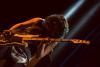 Adrian Belew (17)